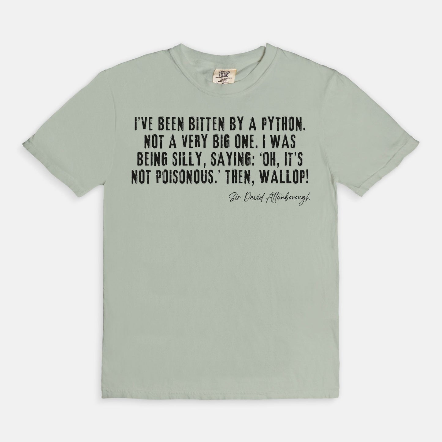 Bitten by a Python