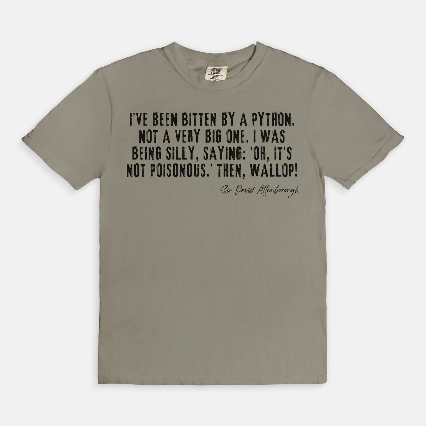 Bitten by a Python