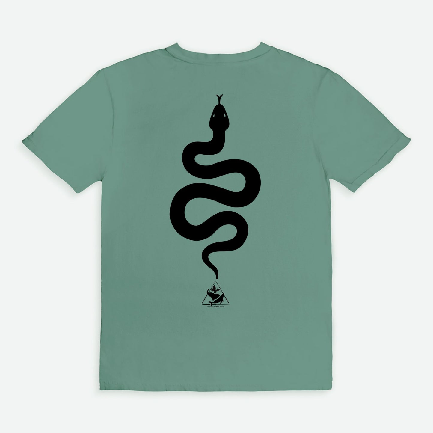 Bitten by a Python