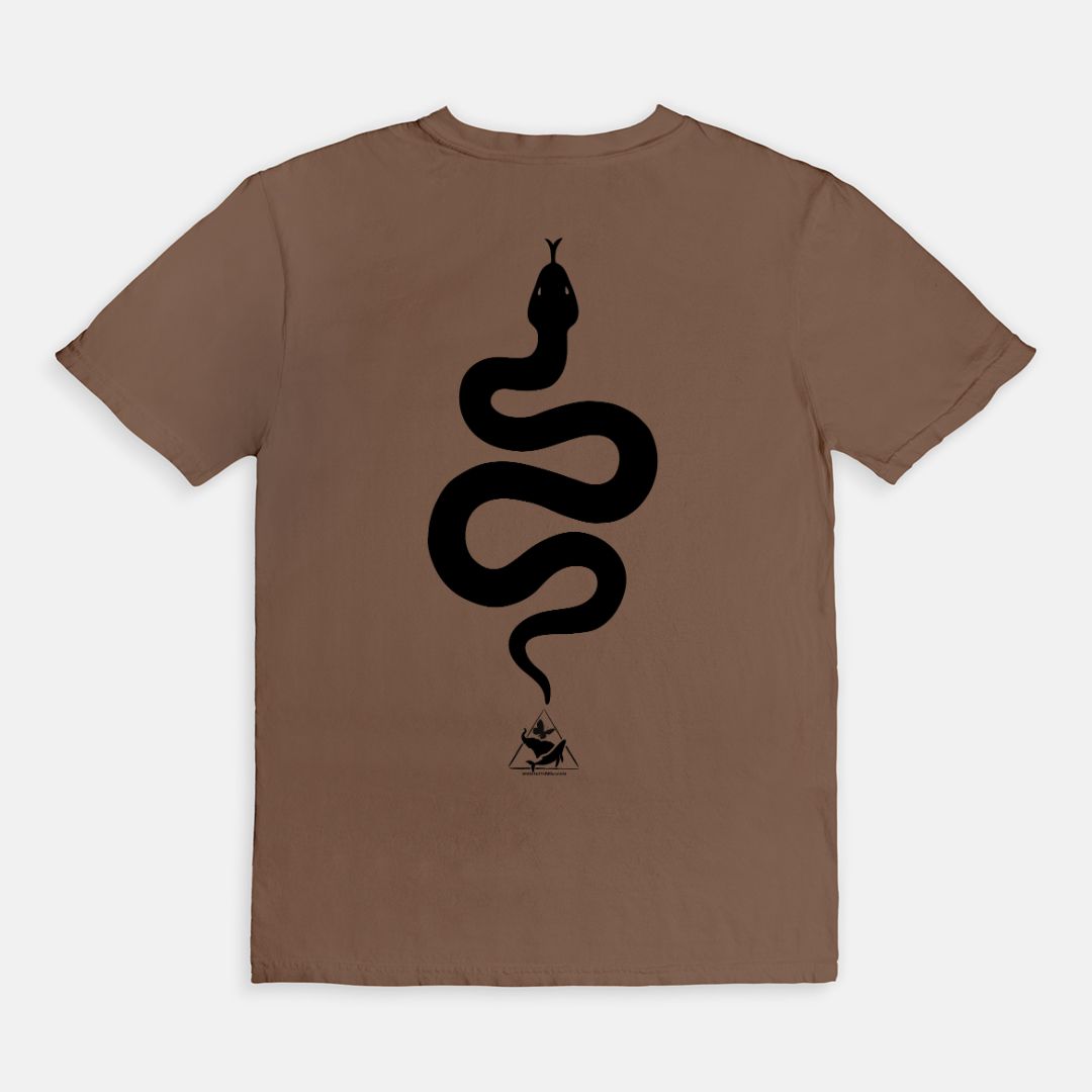 Bitten by a Python
