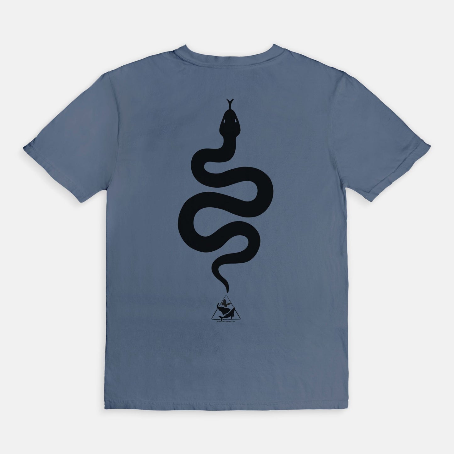 Bitten by a Python