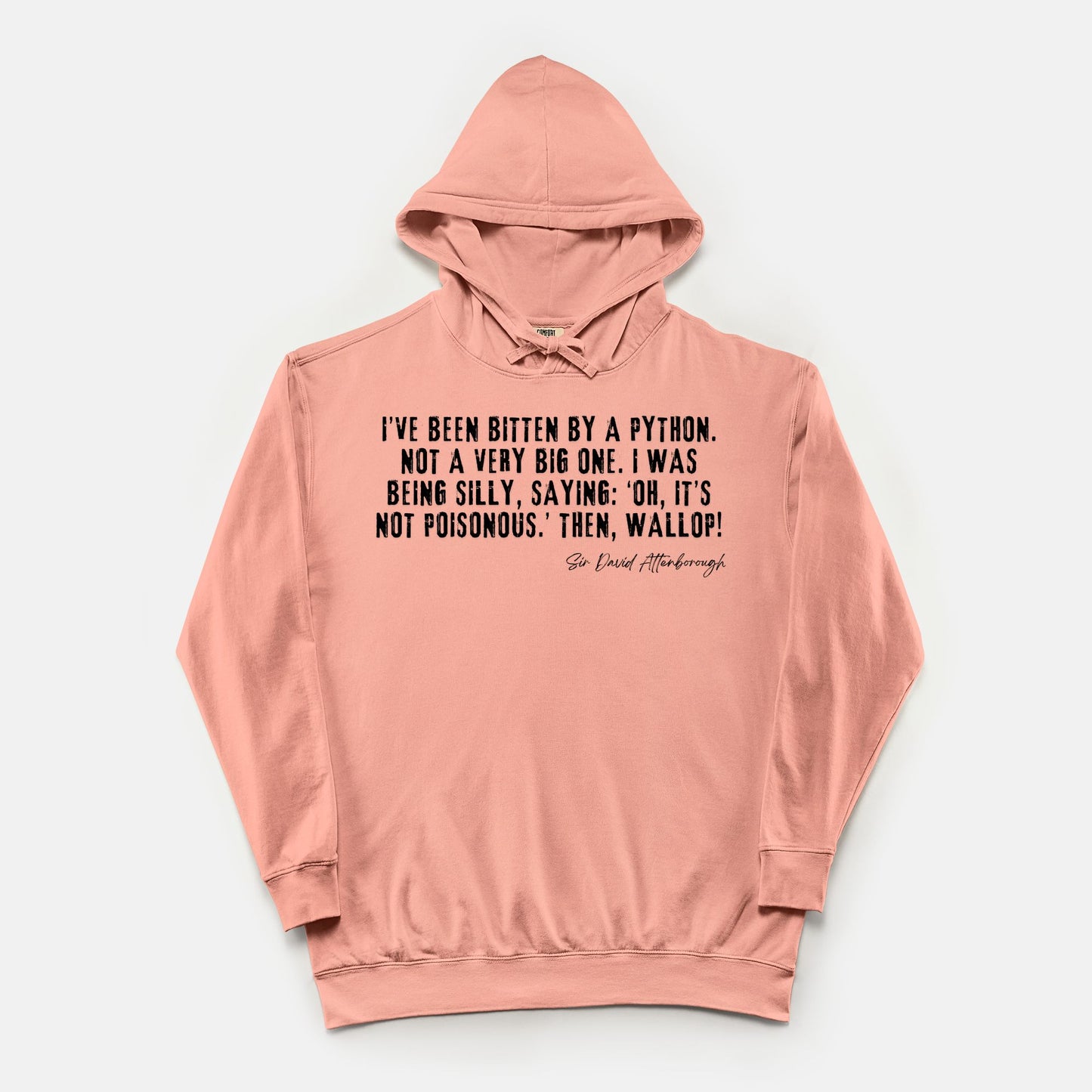 Bitten by a Python Hoodie