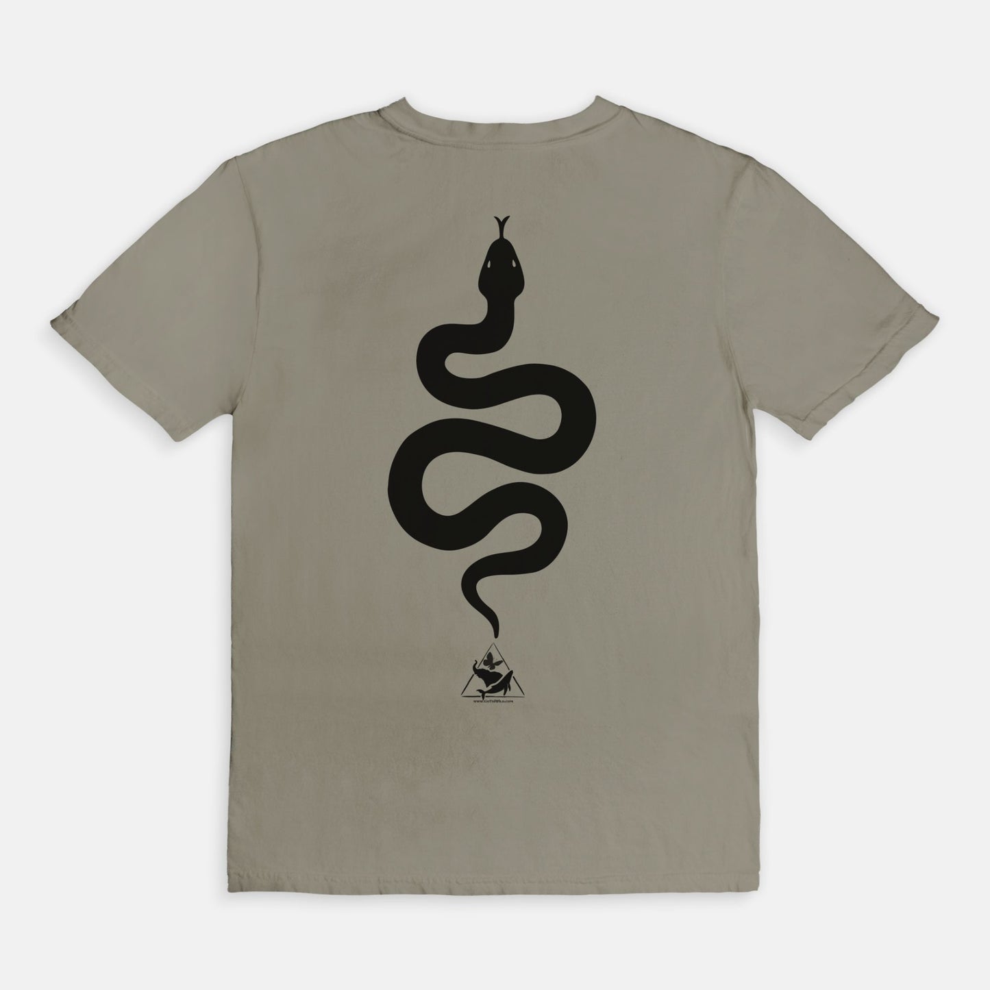 Bitten by a Python