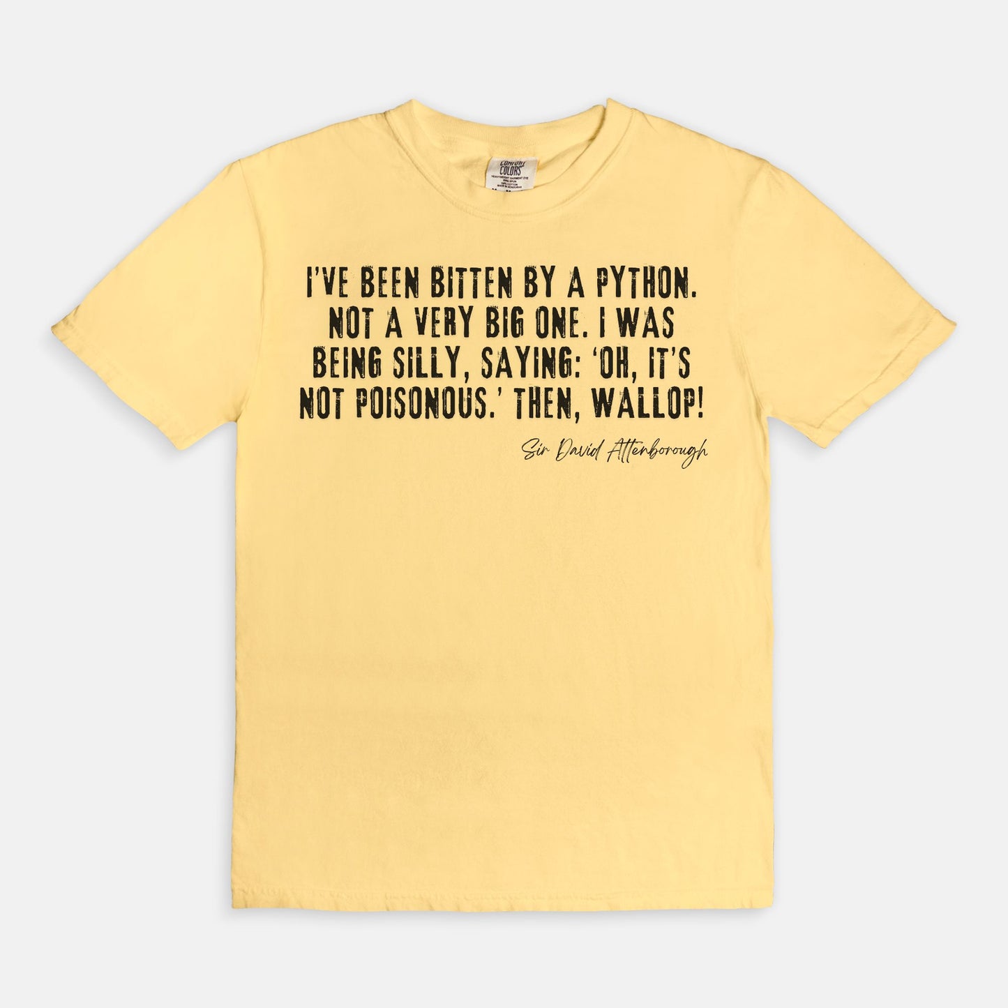 Bitten by a Python