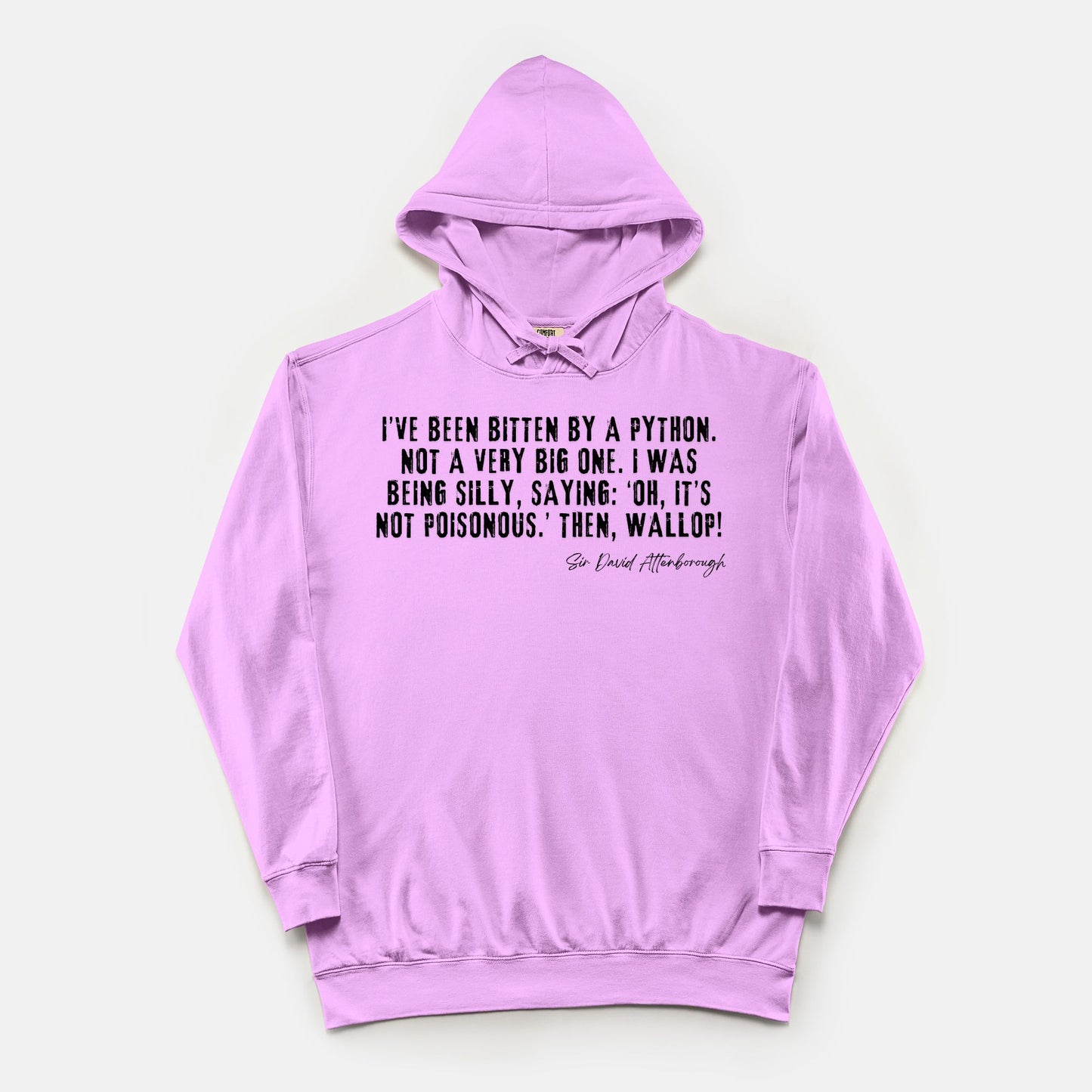 Bitten by a Python Hoodie