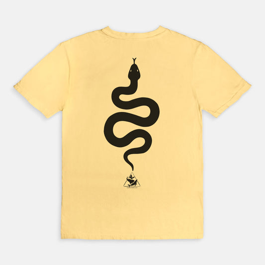 Bitten by a Python