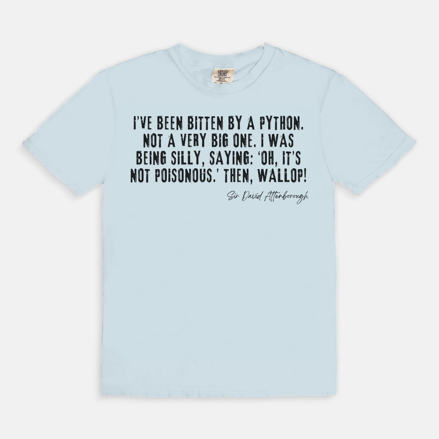 Bitten by a Python