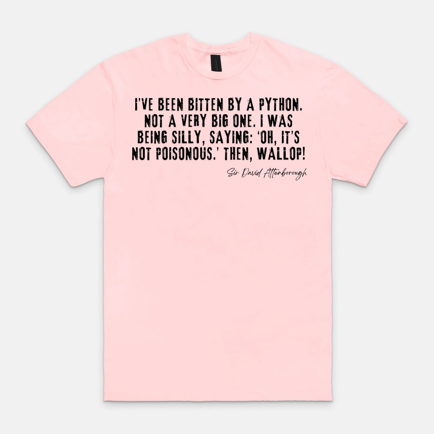 Bitten by a Python - Gildan Tee