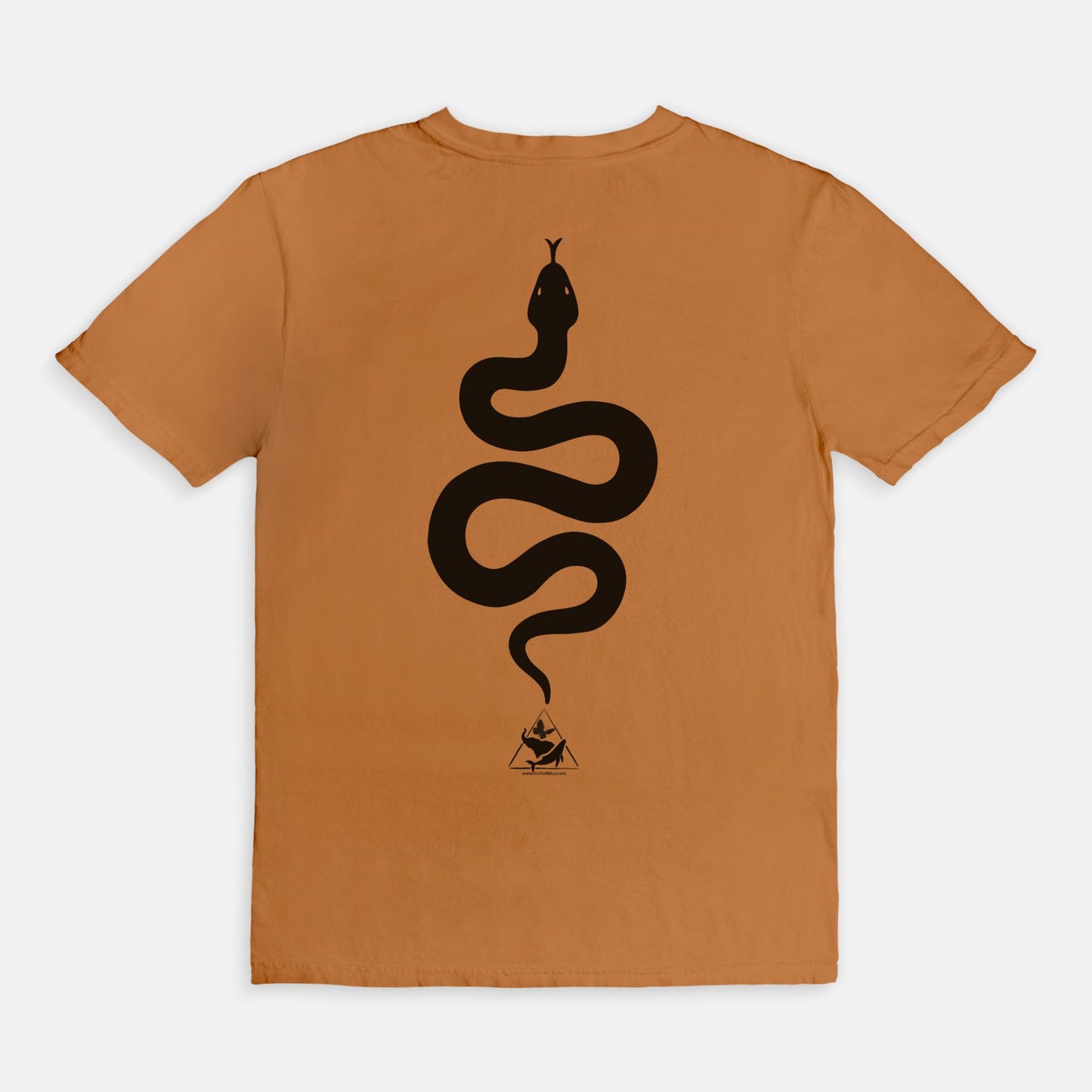 Bitten by a Python