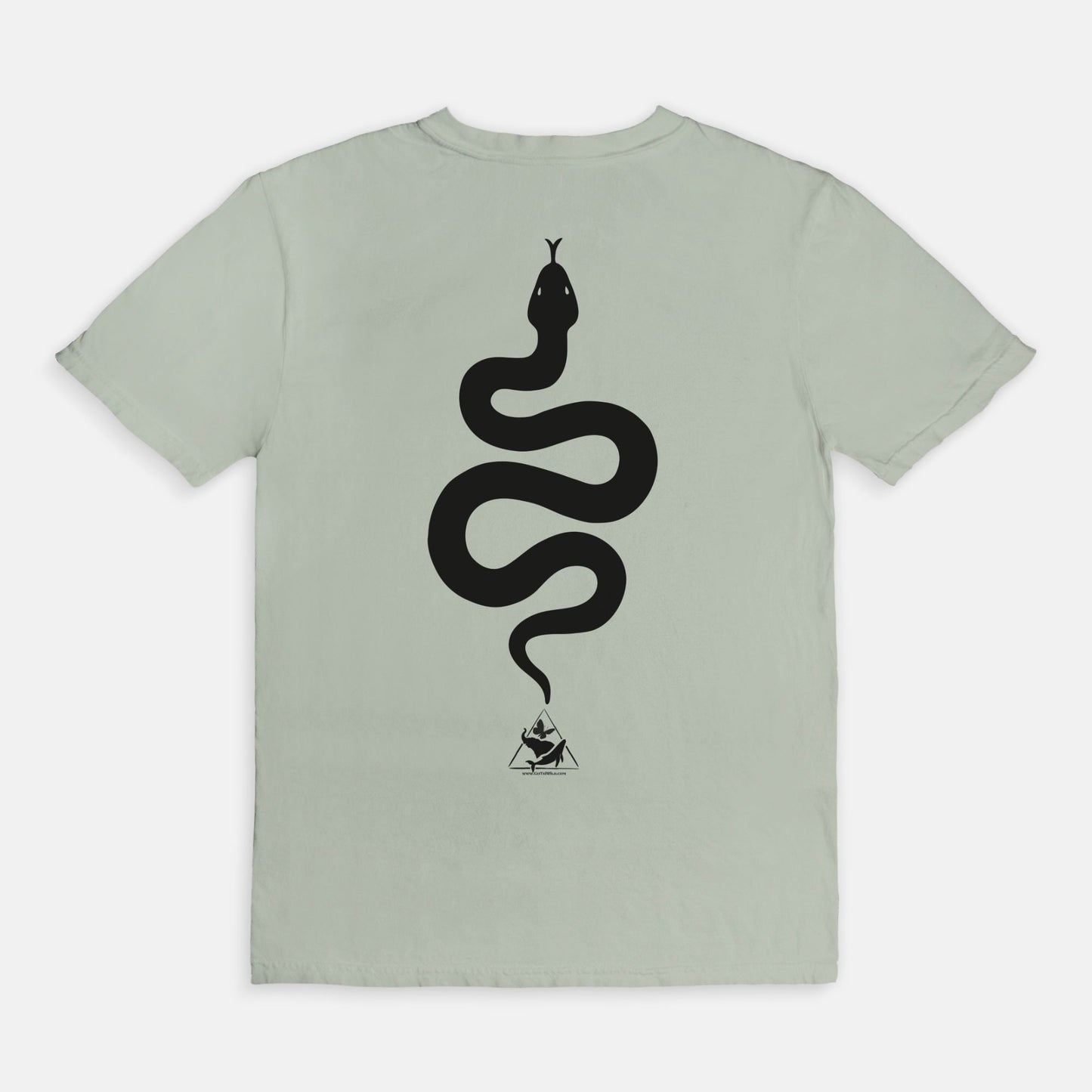 Bitten by a Python