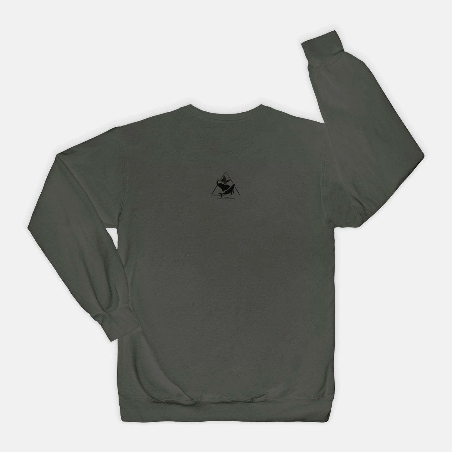 Roar & Conquer Sweatshirt