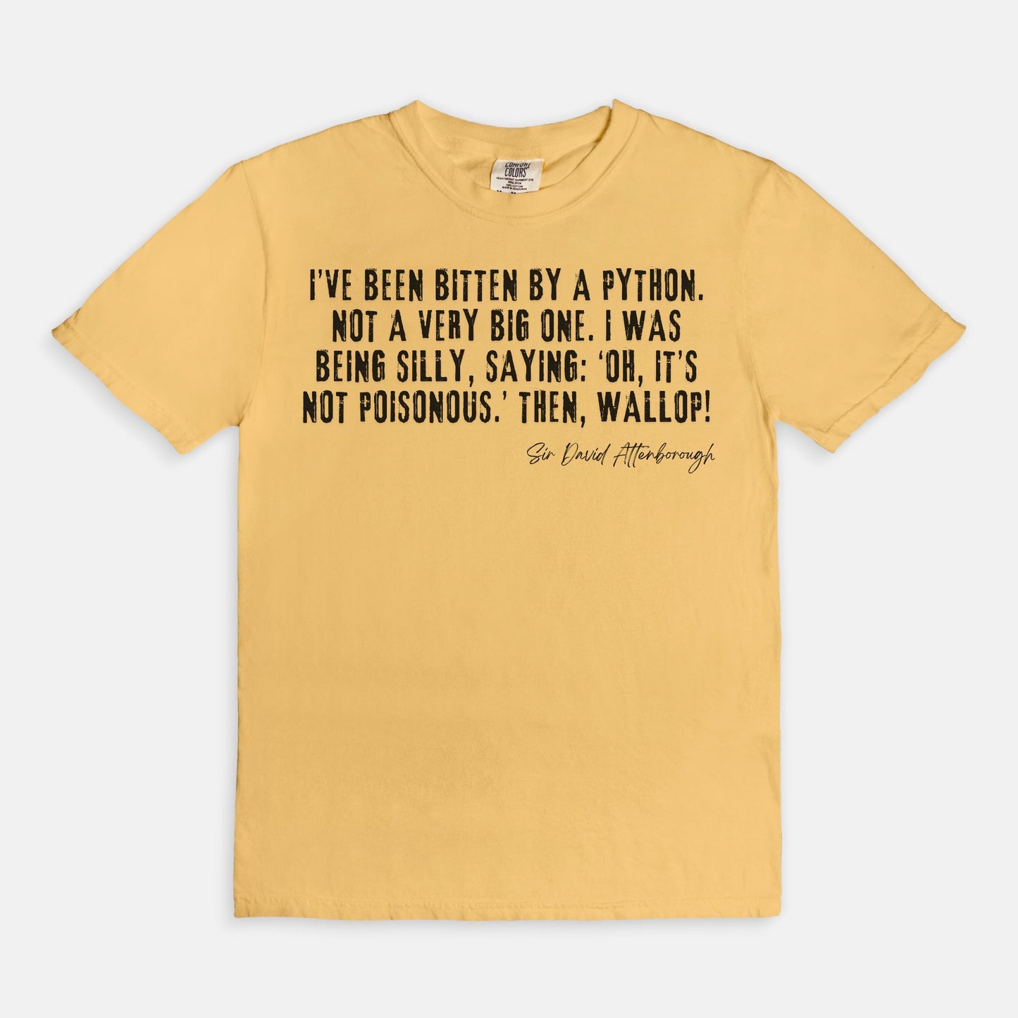 Bitten by a Python