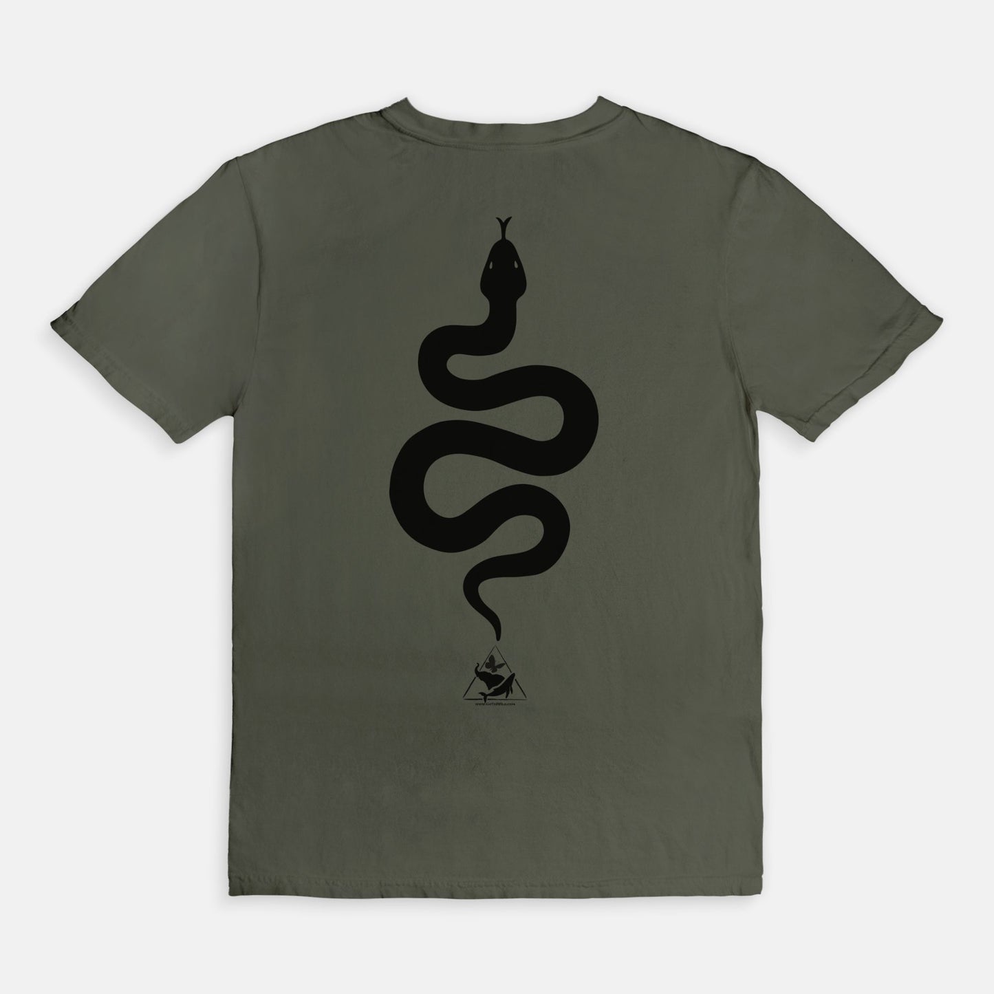 Bitten by a Python