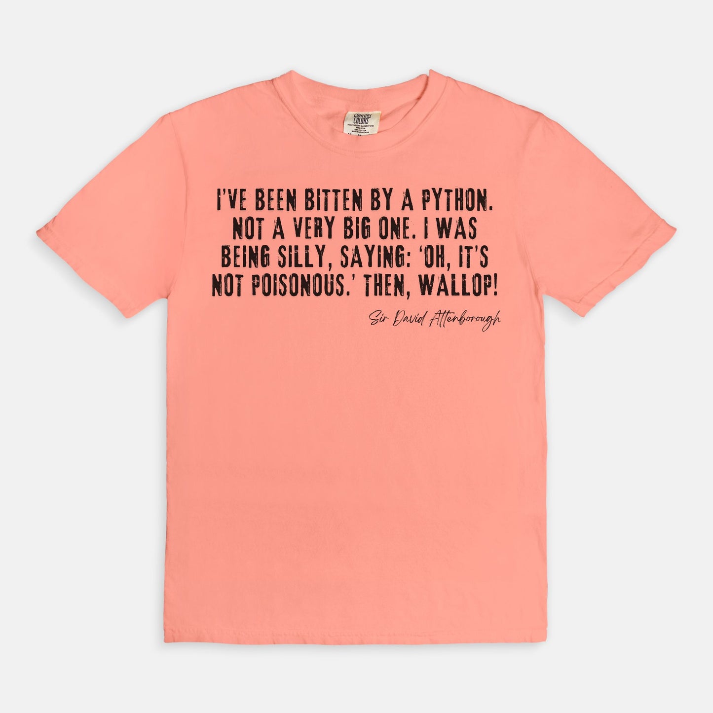 Bitten by a Python