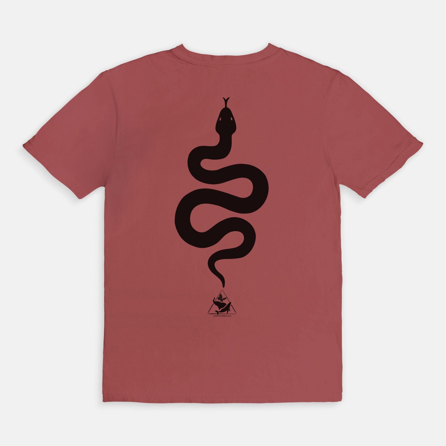 Bitten by a Python